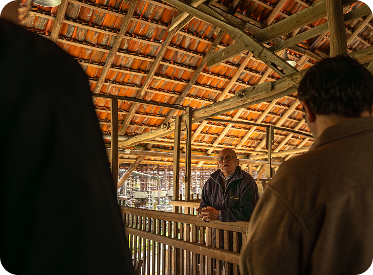 Wij zijn opzoek Naar vrijwilligers