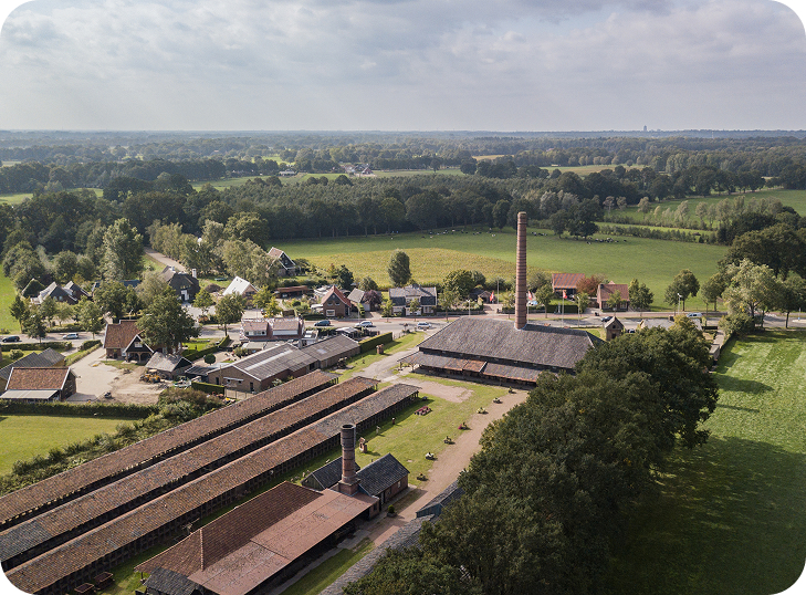 Activiteiten arrangement